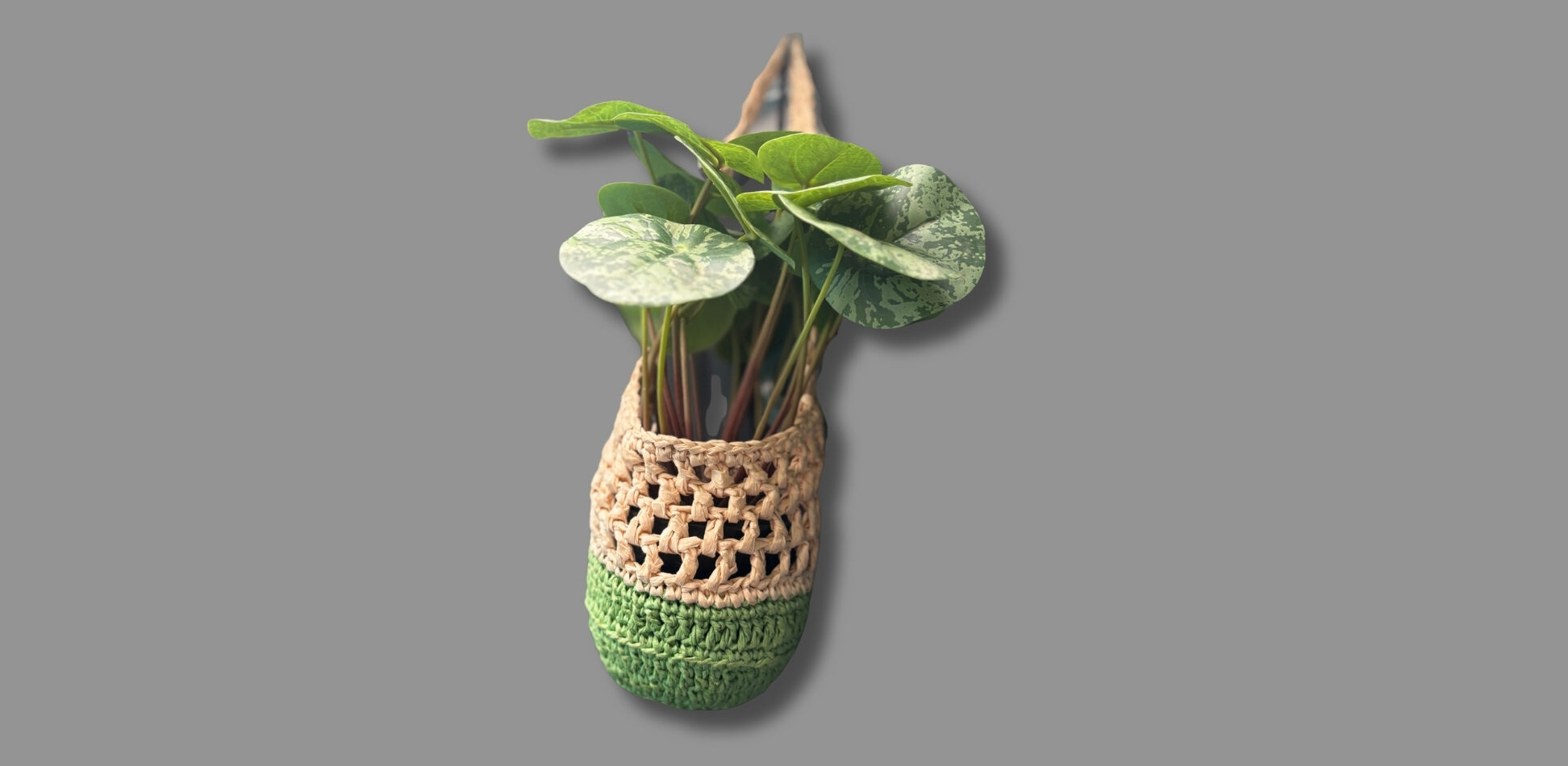 Handmade Blumenampel Häkeln Garn Die Schirmis Anne Schirmer crochet