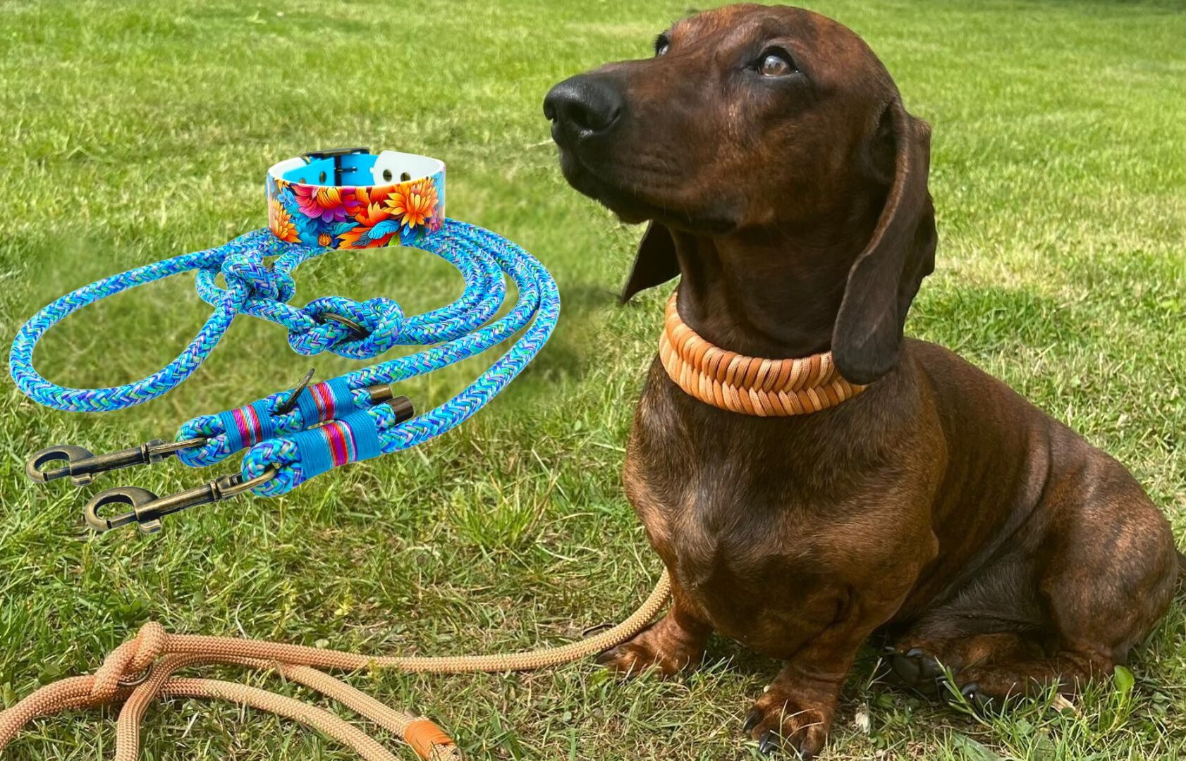 Handmade Hundeleinen Hundhalsband Leine Hundeleine Nadine Römer Die Schirmis